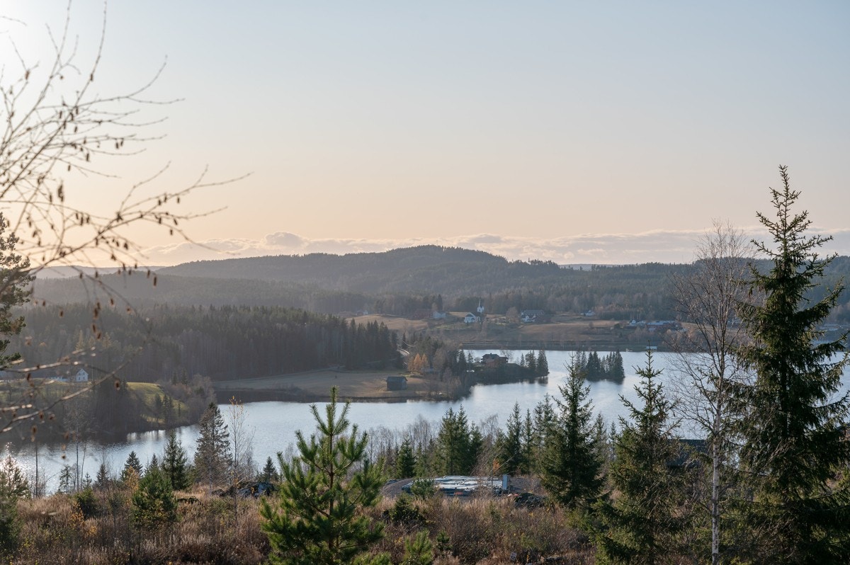 Tomt24-03 Galleribilde