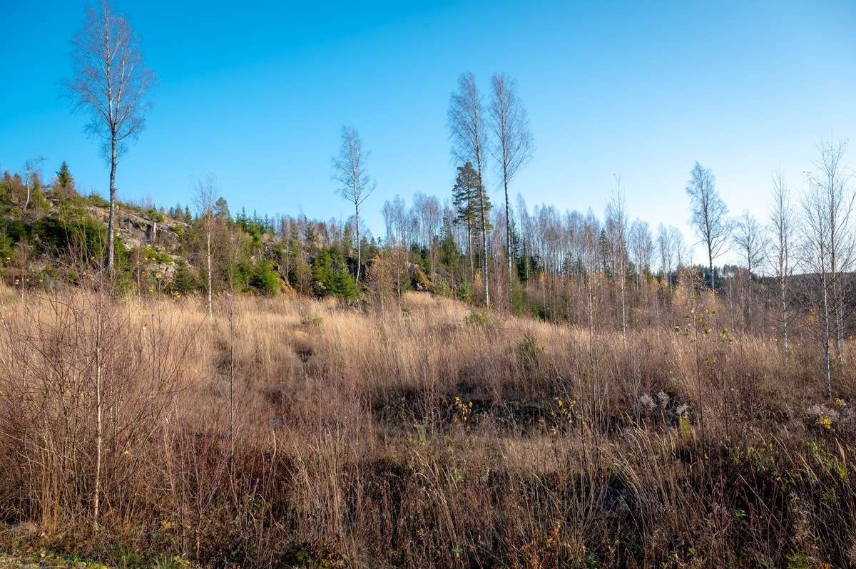 Tomt14-01 Galleribilde