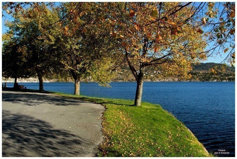 Hyggelige omgivelser utendørs Galleribilde