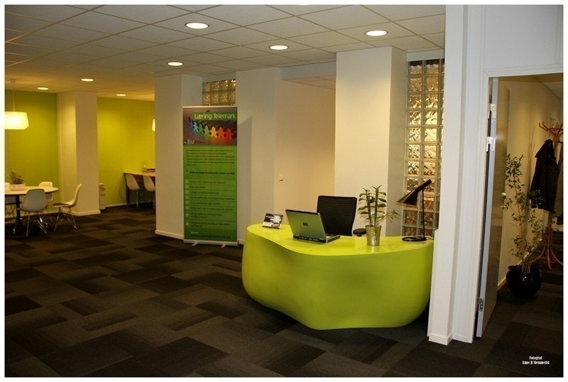 Fellesareal Galleribilde