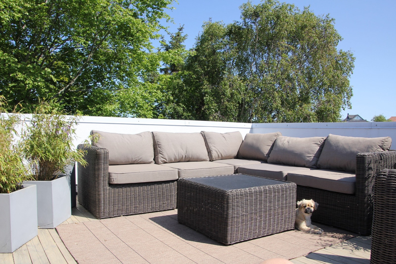 KUNDEFOTO - Takterrassen Galleribilde