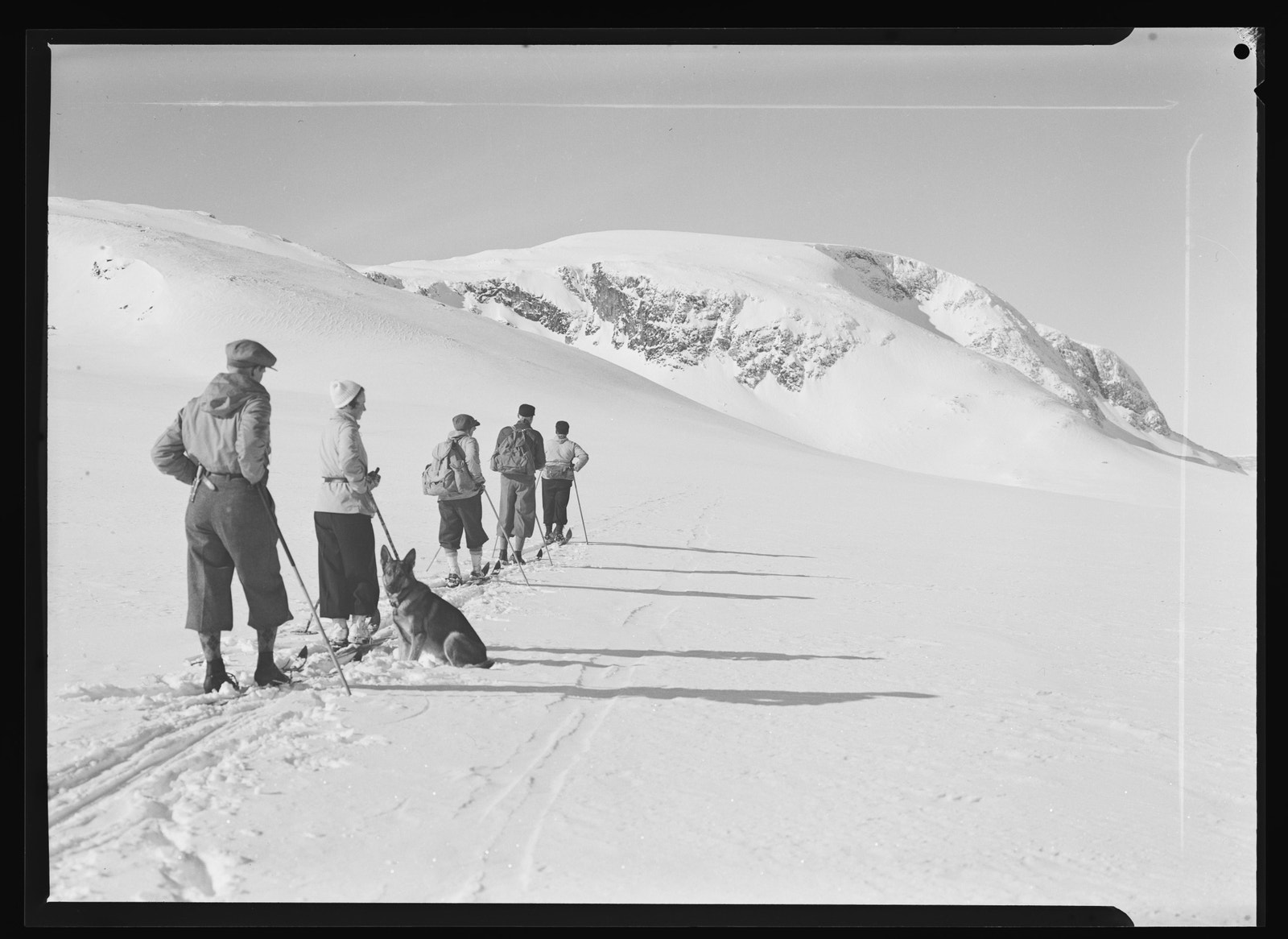 Ut på tur med hele flokken. Galleribilde
