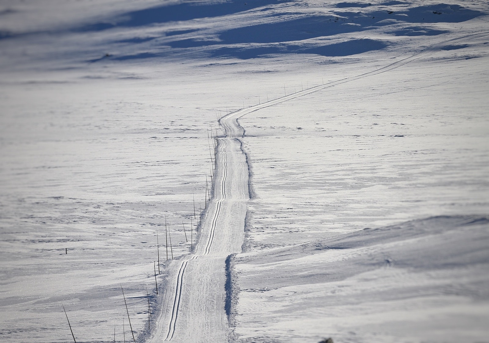 Så langt øyet kan se... Galleribilde