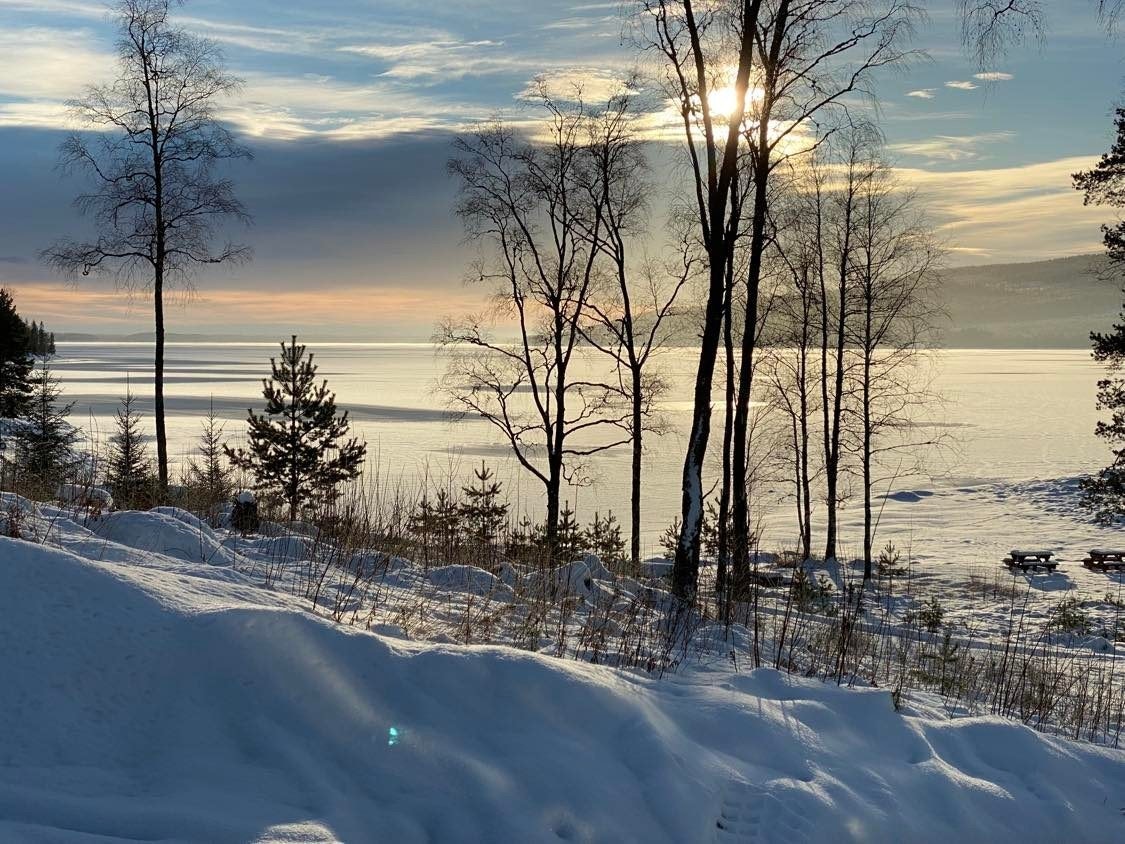 Bogen Brygge ligger på østsiden av sjøen med vending mot vest og perfekte solforhold. Galleribilde