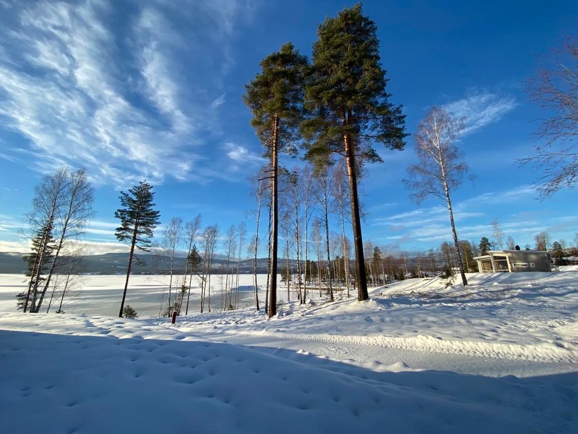Fra det nye tomteområdet og utsikt mot nord i sjøen. Galleribilde