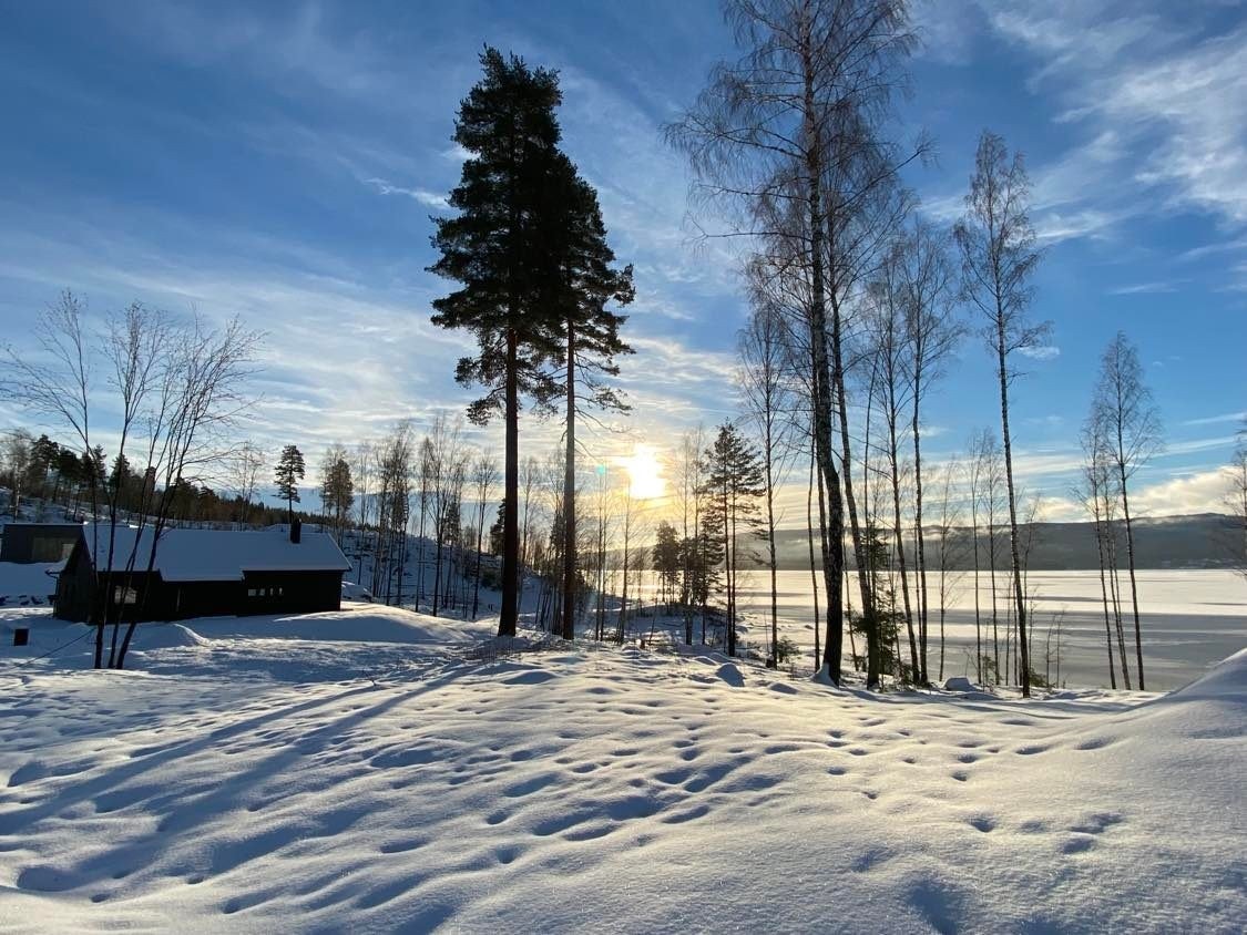 Maksimal tomteutnyttelse er 235 kvm BYA fordelt på 3 bygninger; Hytte, anneks og garasje. Galleribilde
