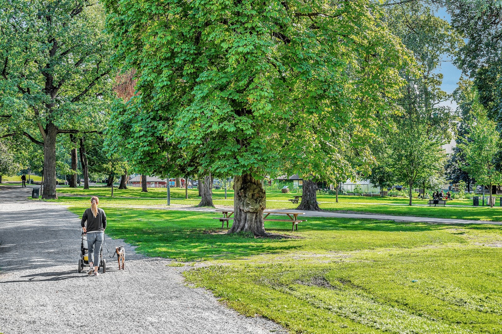 Leiligheten har Sofienbergparken som nærmeste nabo. Galleribilde