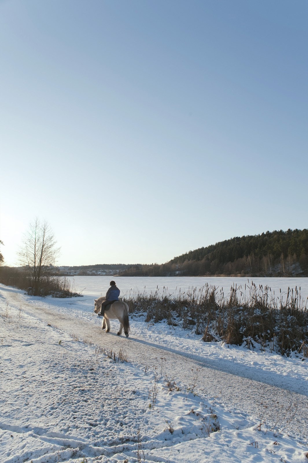 Ved Østensjøvannet kan man observere og komme tett på en mengde ulike fuglearter, noe som gjør dette til et yndet område for barn så vel som for voksne. Galleribilde