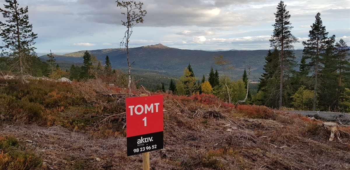 Tomtene er merket med skilt Galleribilde