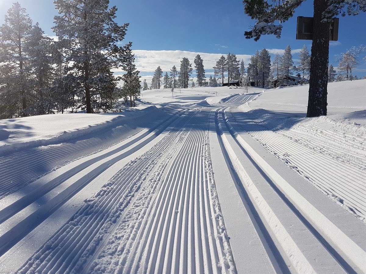 Skiløypene er tilkoblet blefjell sitt vakre løypenett og strekker seg langt innover fjellet til mange kjente destinasjoner! Galleribilde