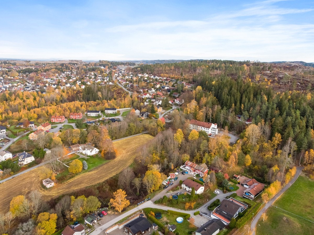 Området Galleribilde