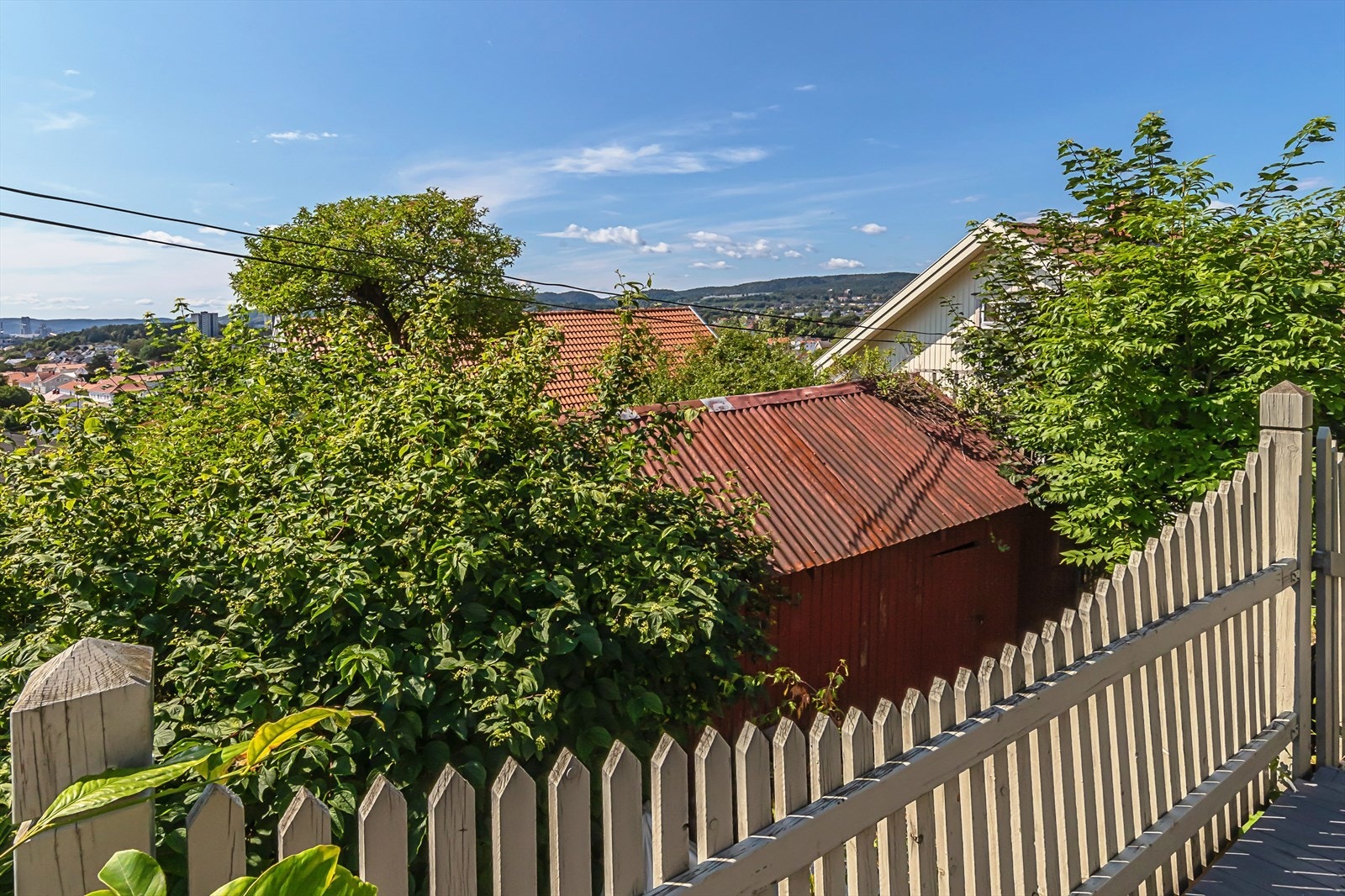 Stakittgjerde og hekk i tomtegrenser Galleribilde