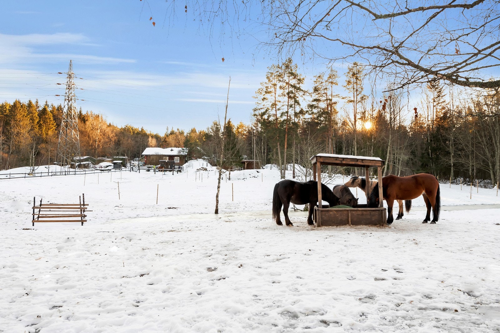 Idylliskle Burud gård (en av de gamle Akergårdene) ligger rett ved borettslaget, lysløypa og skolene. Galleribilde