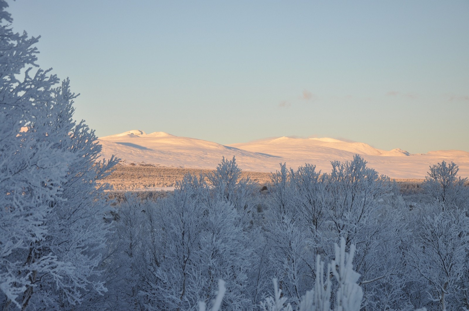 Utsikt fra Hundyrju hyttegrend mot majestetiske Dovrefjell Galleribilde