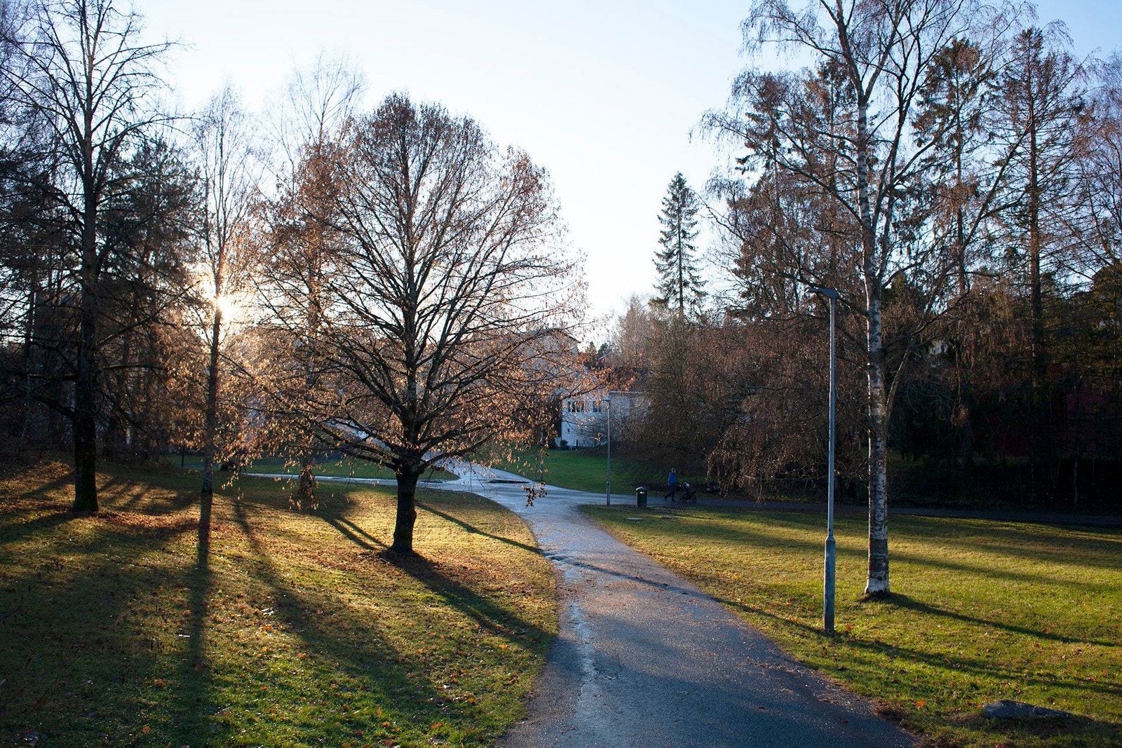 Mærradalen med fine turstier om sommeren, og preparerte skiløyper om vinteren som fører opp til marka. Galleribilde
