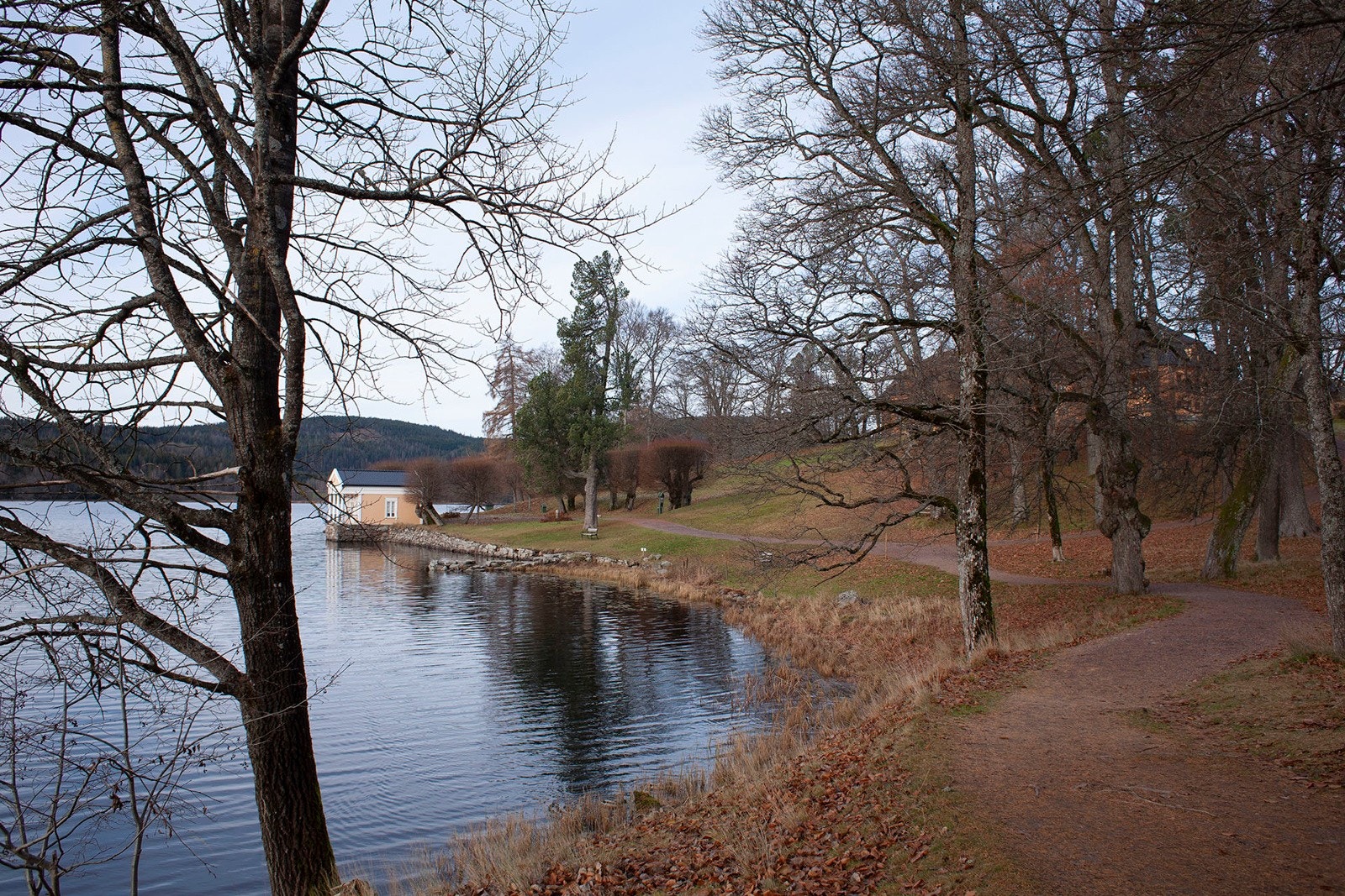 Bogstadvannet har flotte bademuligheter på sommeren, samt skiløyper og skøyteis om vinteren. Galleribilde