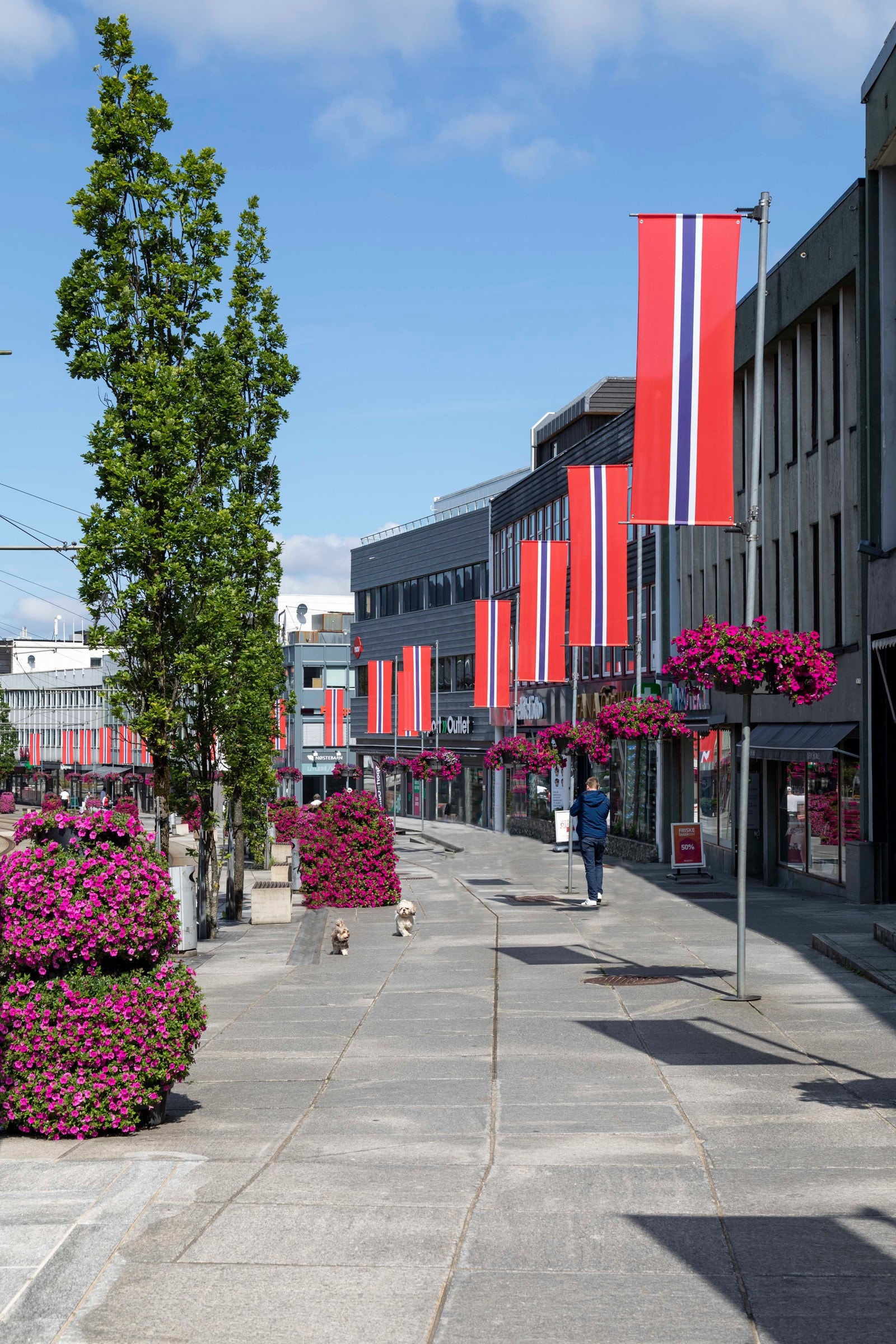 Paradis Nesttun Hop-06 Galleribilde