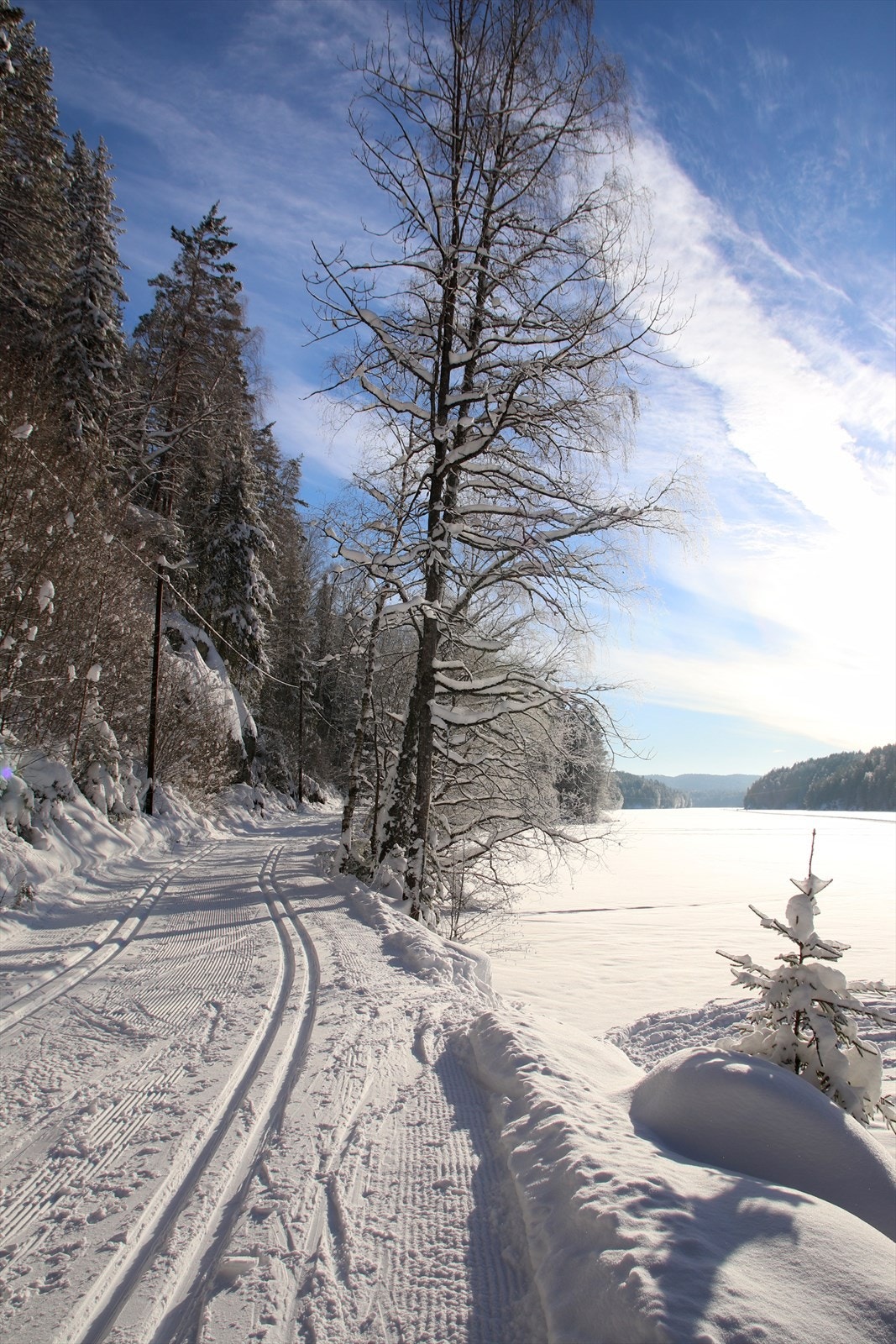 Flotte og preparerte skiløyper i Østmarka. Galleribilde