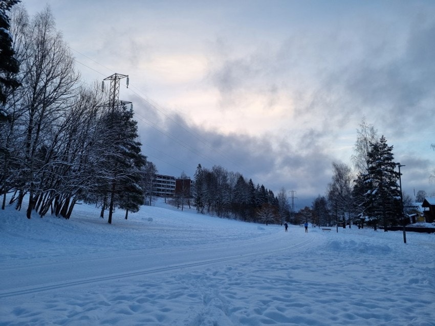 På flotte turstier (oppkjørte skispor på vinterstid) rett utenfor i Hovseterdalen tar du deg til Bogstad Camping, Golfbanen og Bogstadvannet og videre innover i Sørkedalen og Nordmarka Galleribilde