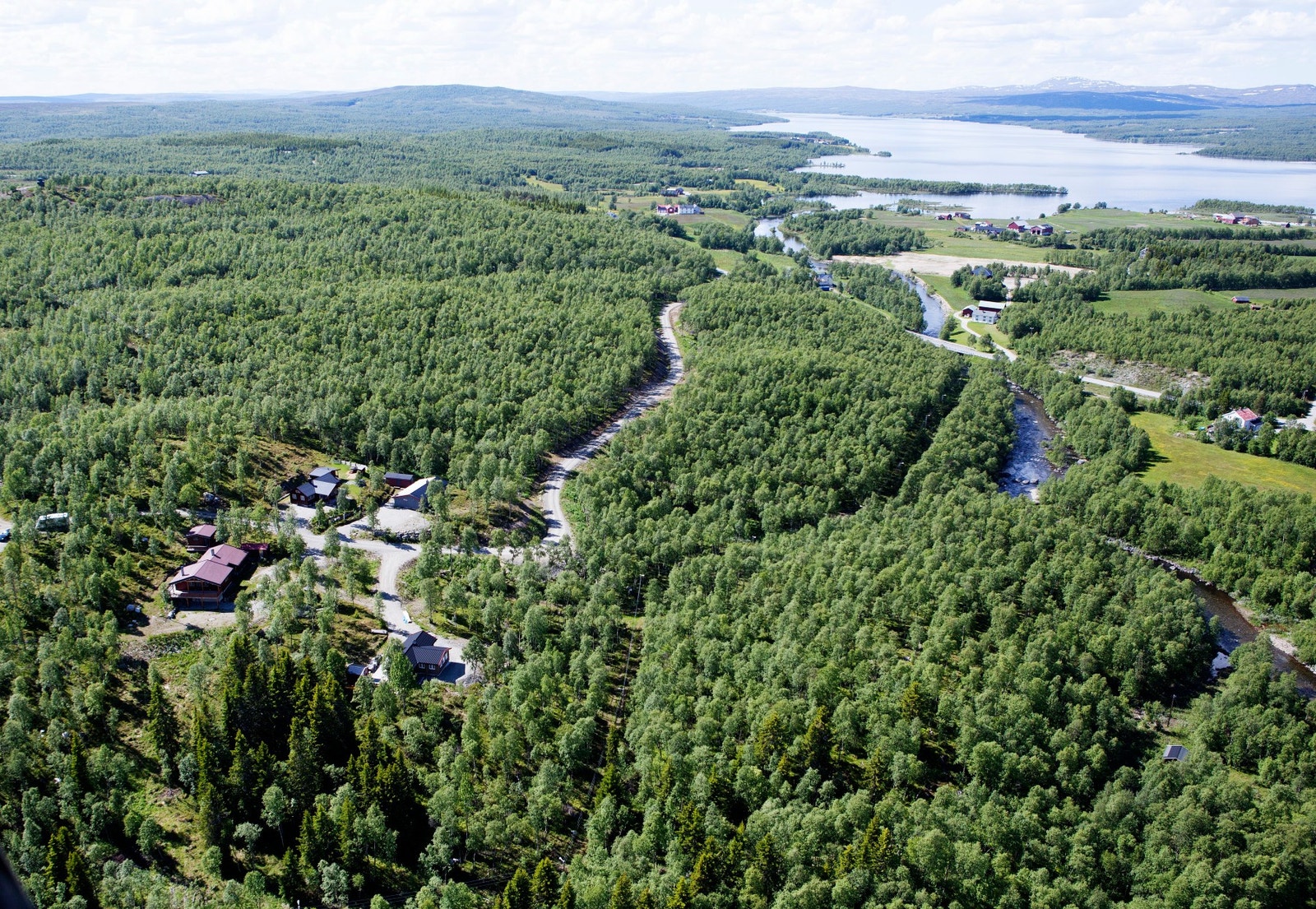 Sommerbilde fra feltet/område. Galleribilde