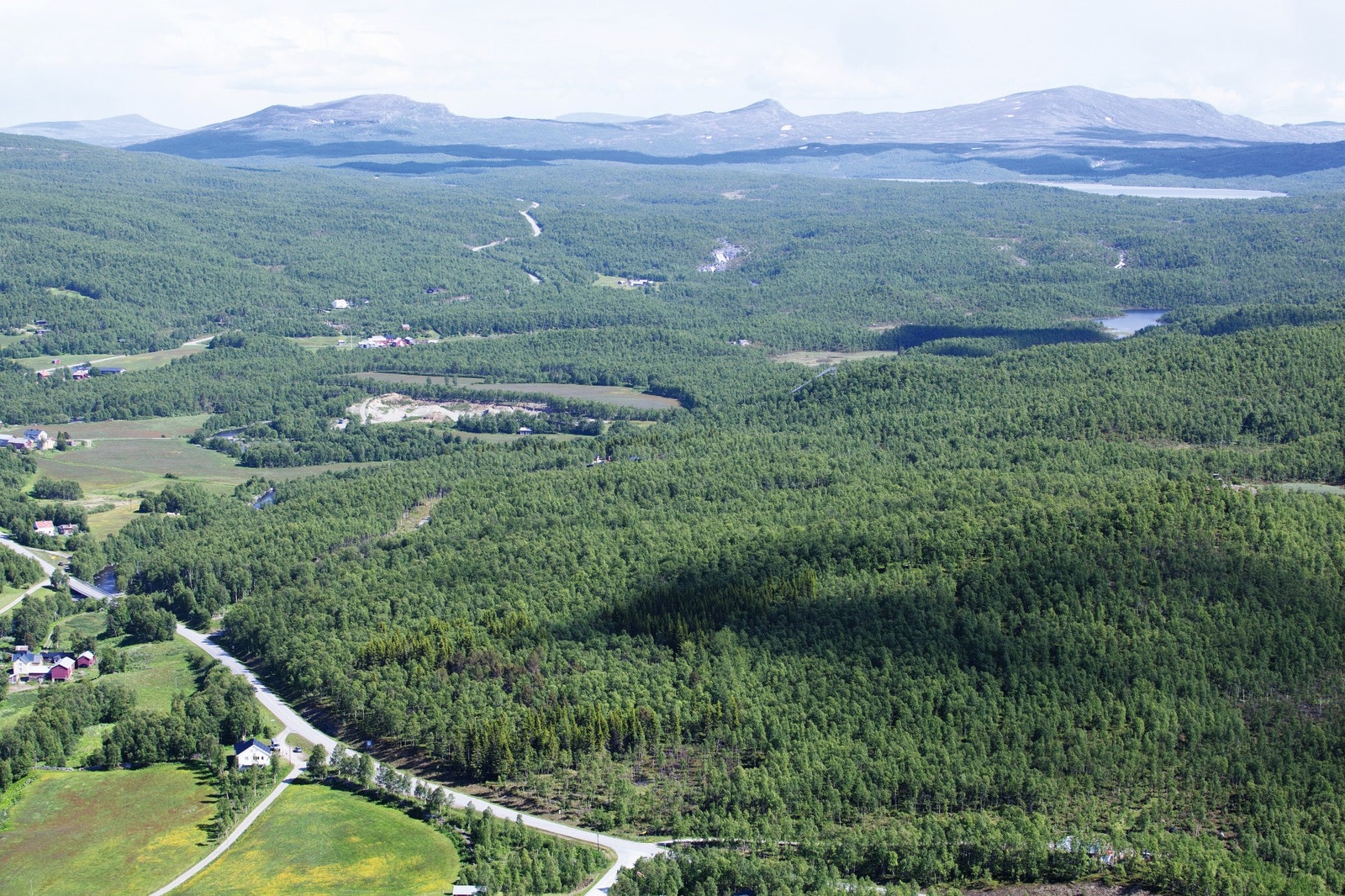 Sommerbilde fra feltet/område. Galleribilde