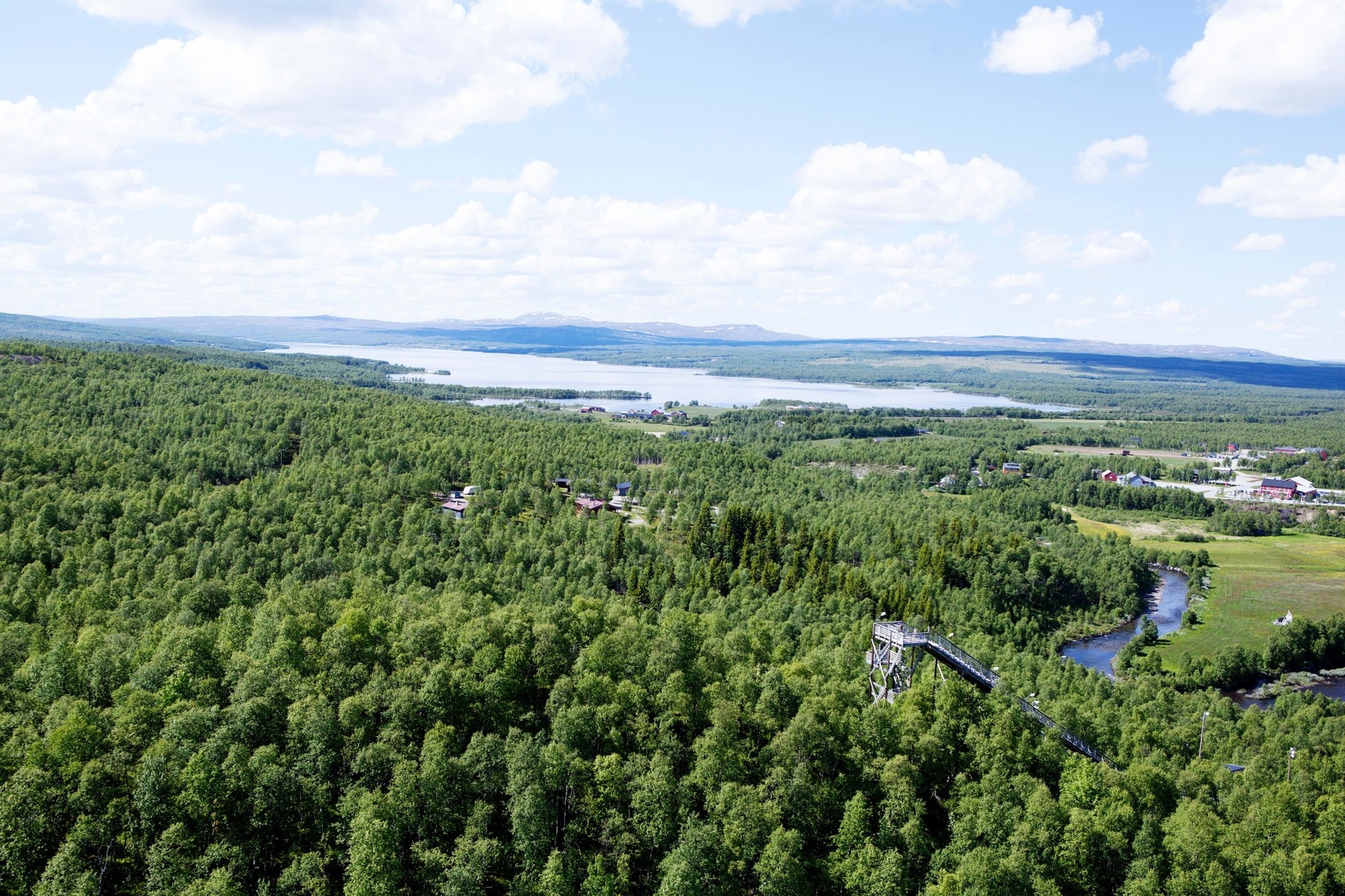 Sommerbilde fra feltet/område. Galleribilde