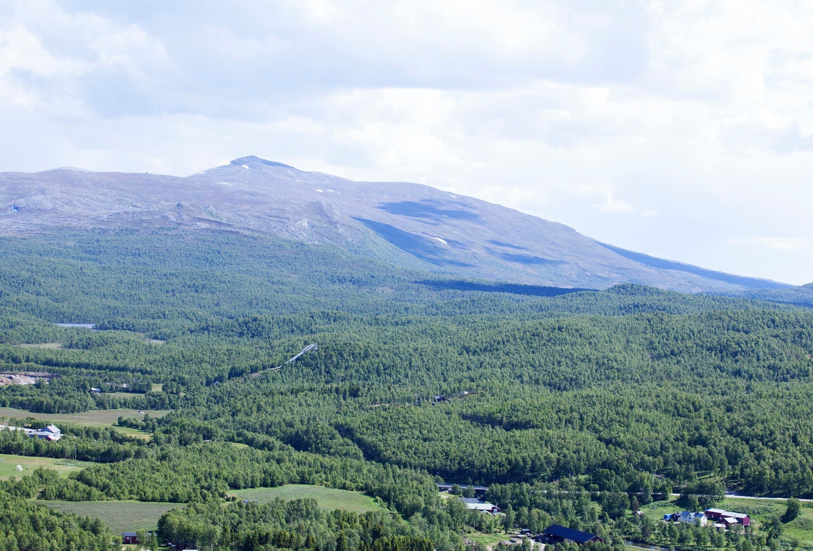 Sommerbilde fra feltet/område. Galleribilde