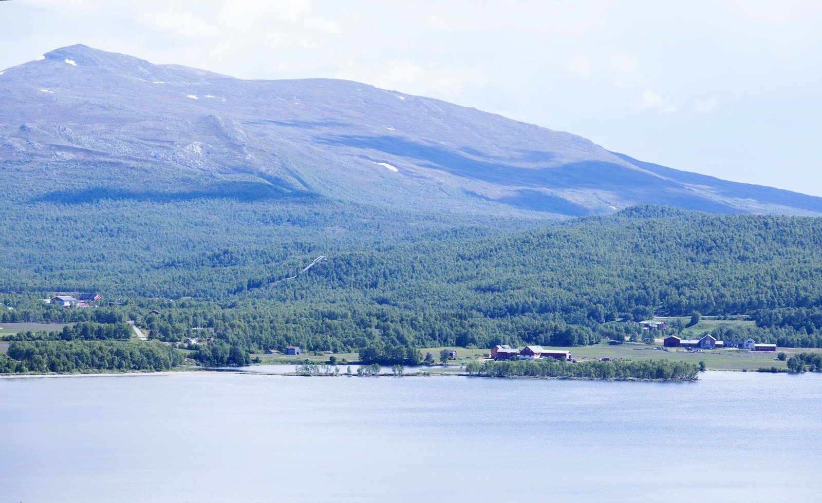 Sommerbilde fra feltet/område. Galleribilde
