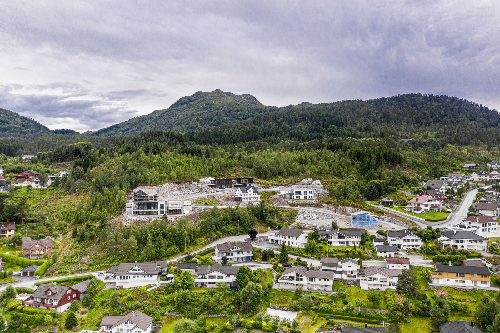 Blåbærlia Galleribilde