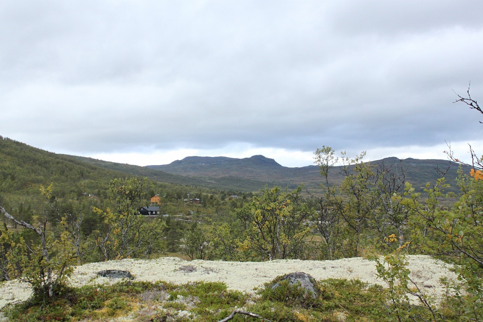 Utsikt tomt 16 (solgt) Galleribilde