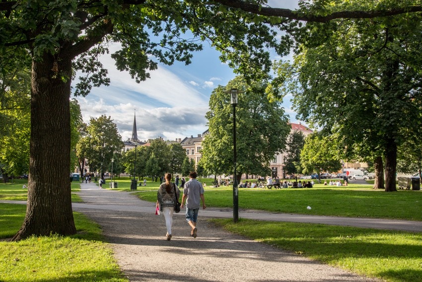 Fra leiligheten tar det cirka 3 minutter å gå ned til Sofienbergparken, som er et naturlig samlingspunkt for beboere og urbane Oslofolk om sommeren. Galleribilde