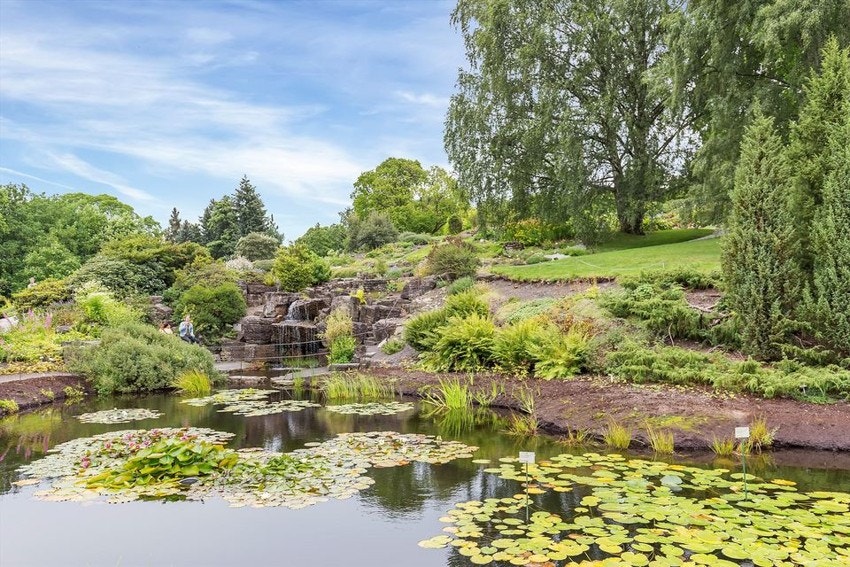 Fra boligen er det kort gangavstand til Botanisk hage. Galleribilde