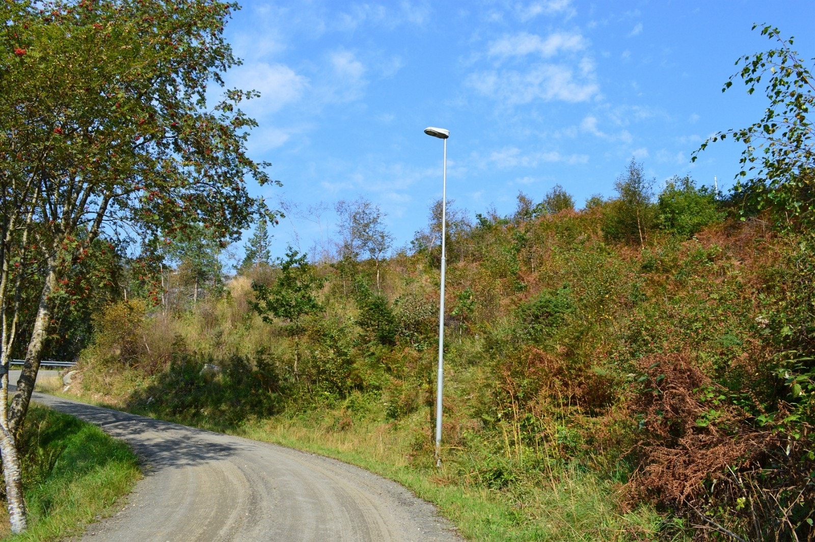 Tomt 9 og innkjørsel tomt 10 Galleribilde