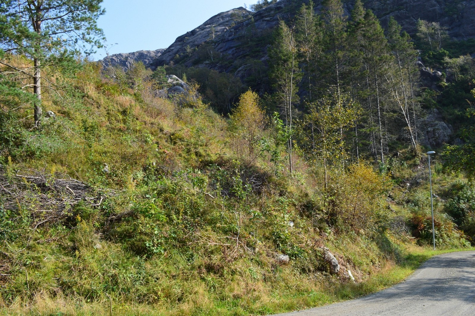 Tomt 9 og tomt 10 Galleribilde