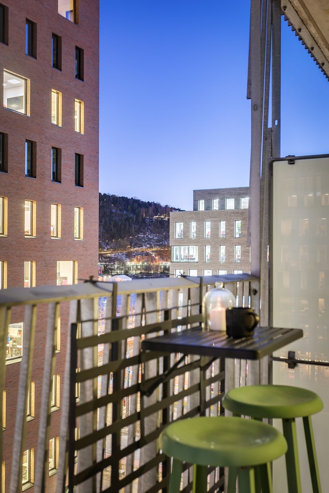 Utsikt mot Middelalderparken og vannspeilet Galleribilde