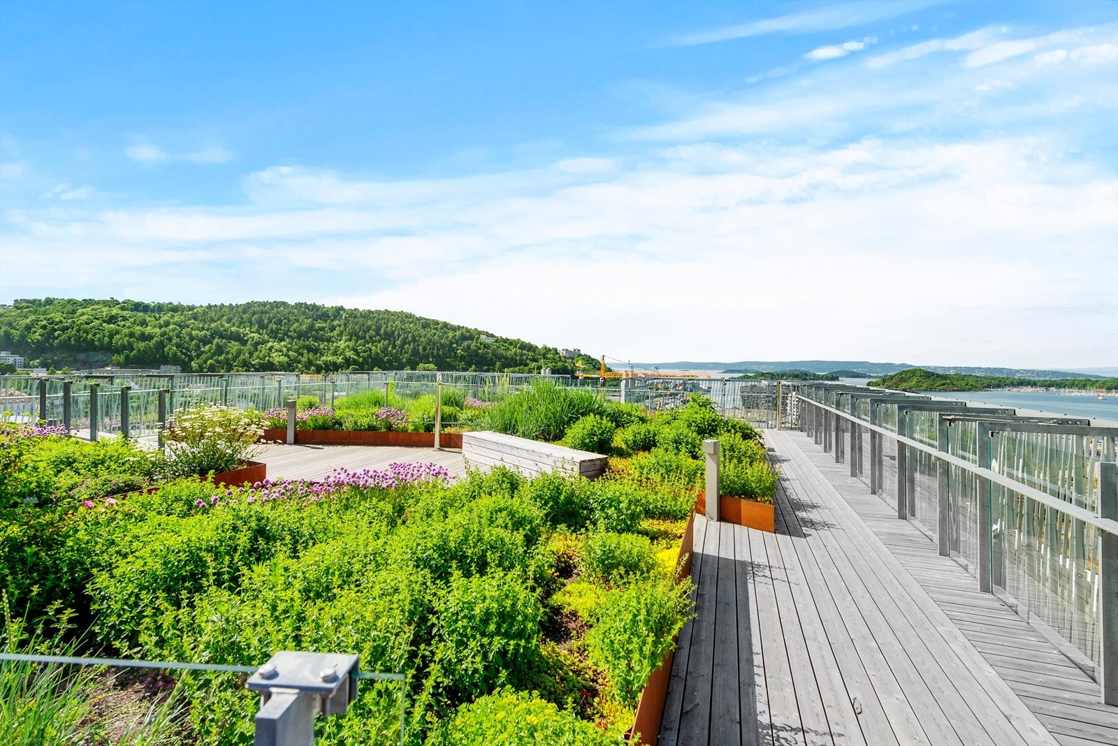 Fantastisk utsikt over Oslofjorden, Ekeberg, Sørenga og Bjørvika fra takterrassen Galleribilde