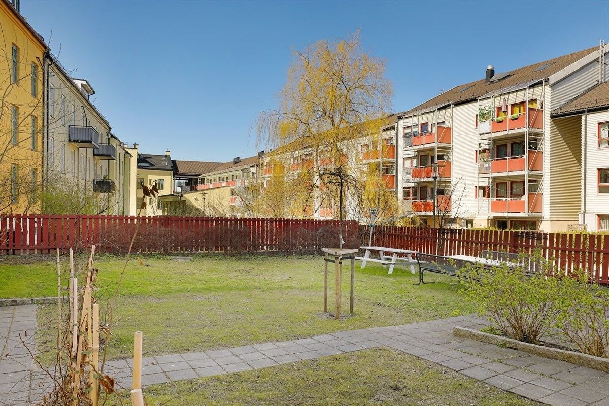 Bakgården ble renovert i 2016. Bilde tatt om sommeren. Galleribilde