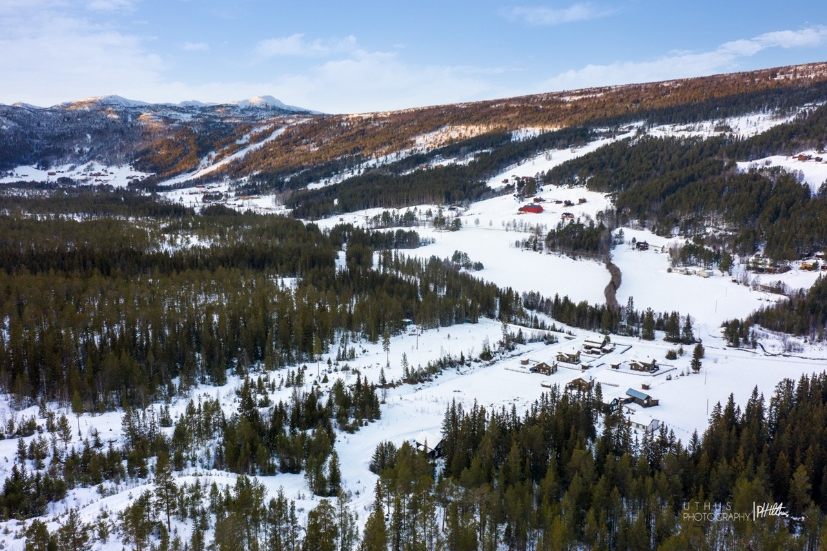 Det er oppkjørte skiløyper som går innom hyttefeltet. Galleribilde