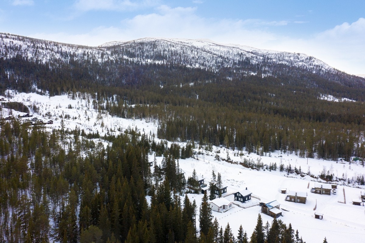Tomteområdet består av 4 tomter. Tomtene har tilnærmet lik beliggenhet i feltet med hensyn til terreng, solforhold og utsikt. Galleribilde