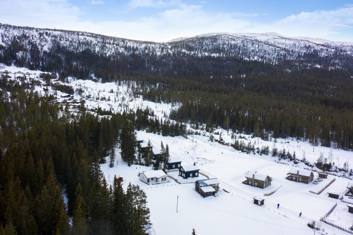 Uvdal er en storslått dal med vakker og mektig natur, samt et perfekt utgangspunkt for dagsturer til Langedrag Naturpark, Dagaliopplevelser, Bygdetunet og Uvdal Aktivitetsgård. Galleribilde