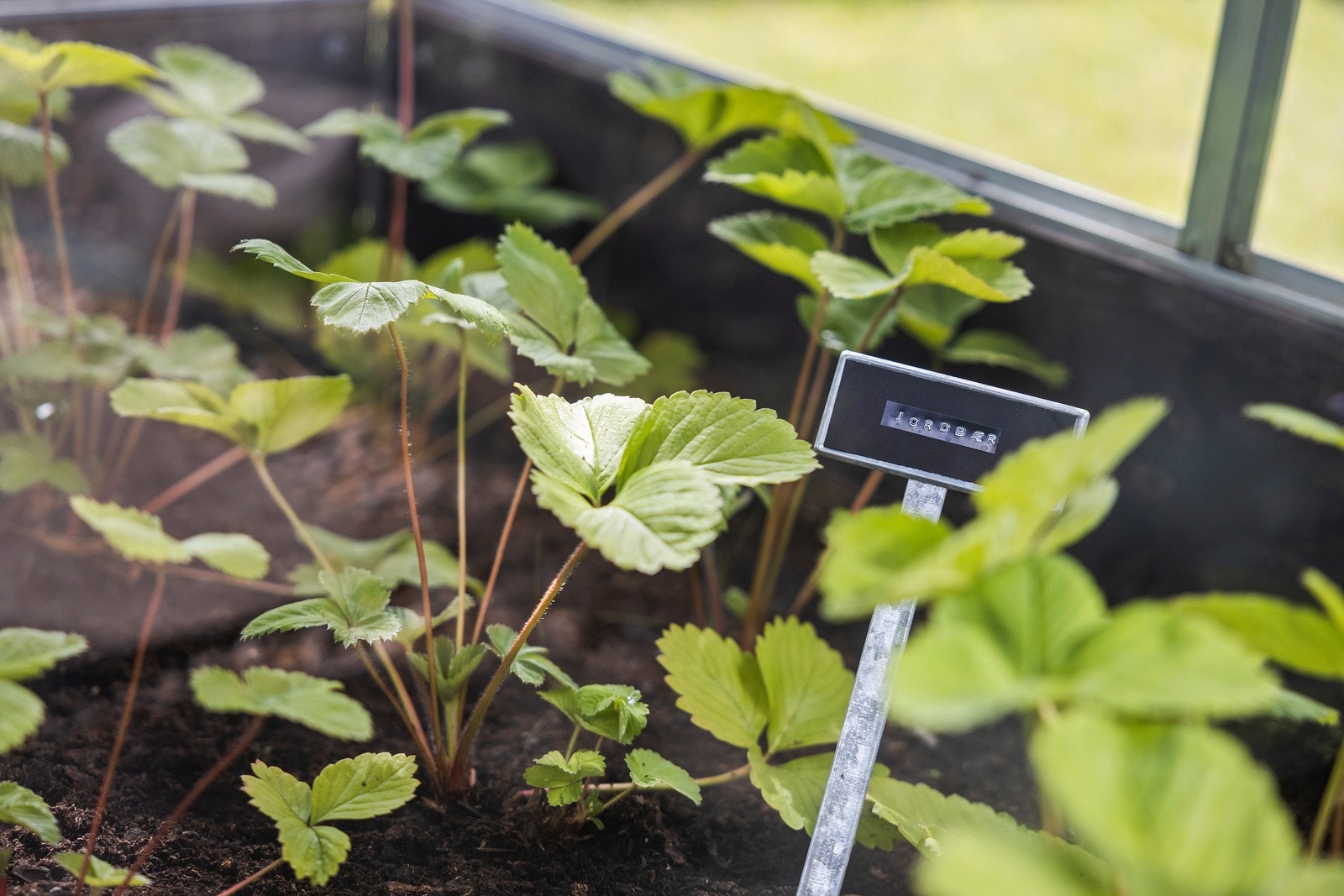 Her får dere en herlig oase utendørs, hvor dere kan pusle i blomsterbedet og kjøkkenhagen. Galleribilde