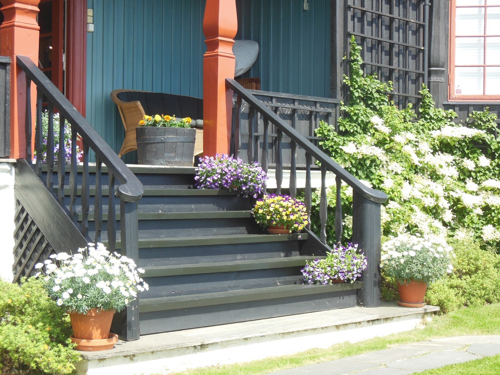 Privatbilde. Verandatrapp til hagen, blomstrende hortensia Galleribilde
