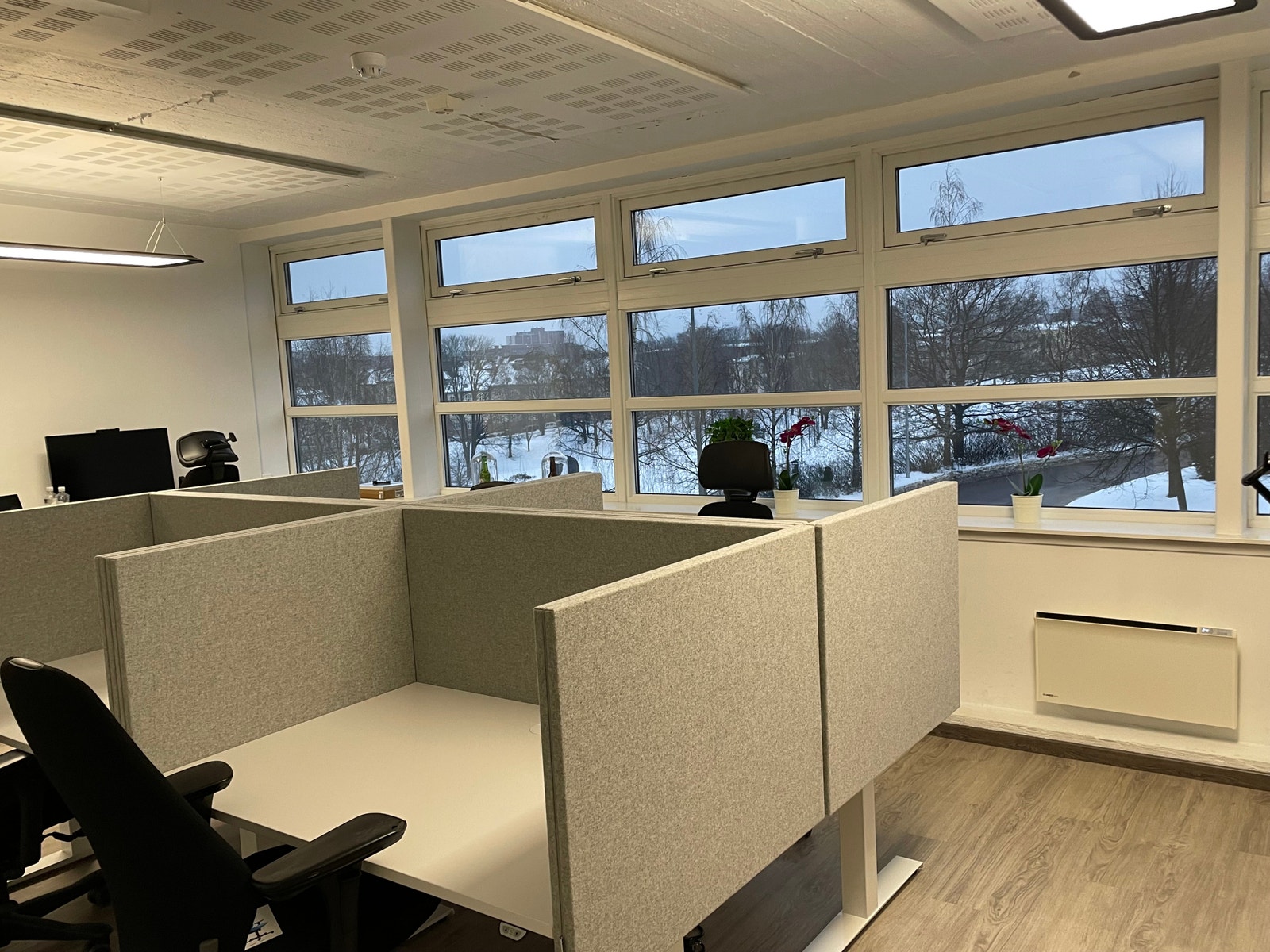 Åpent landskap Galleribilde