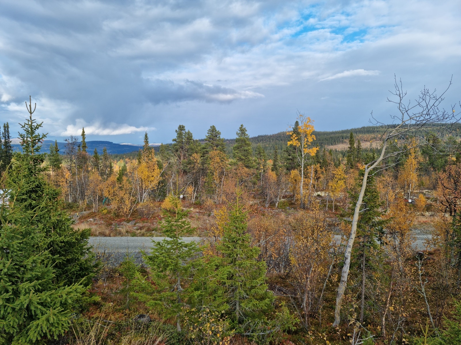 Tomt 33 Galleribilde