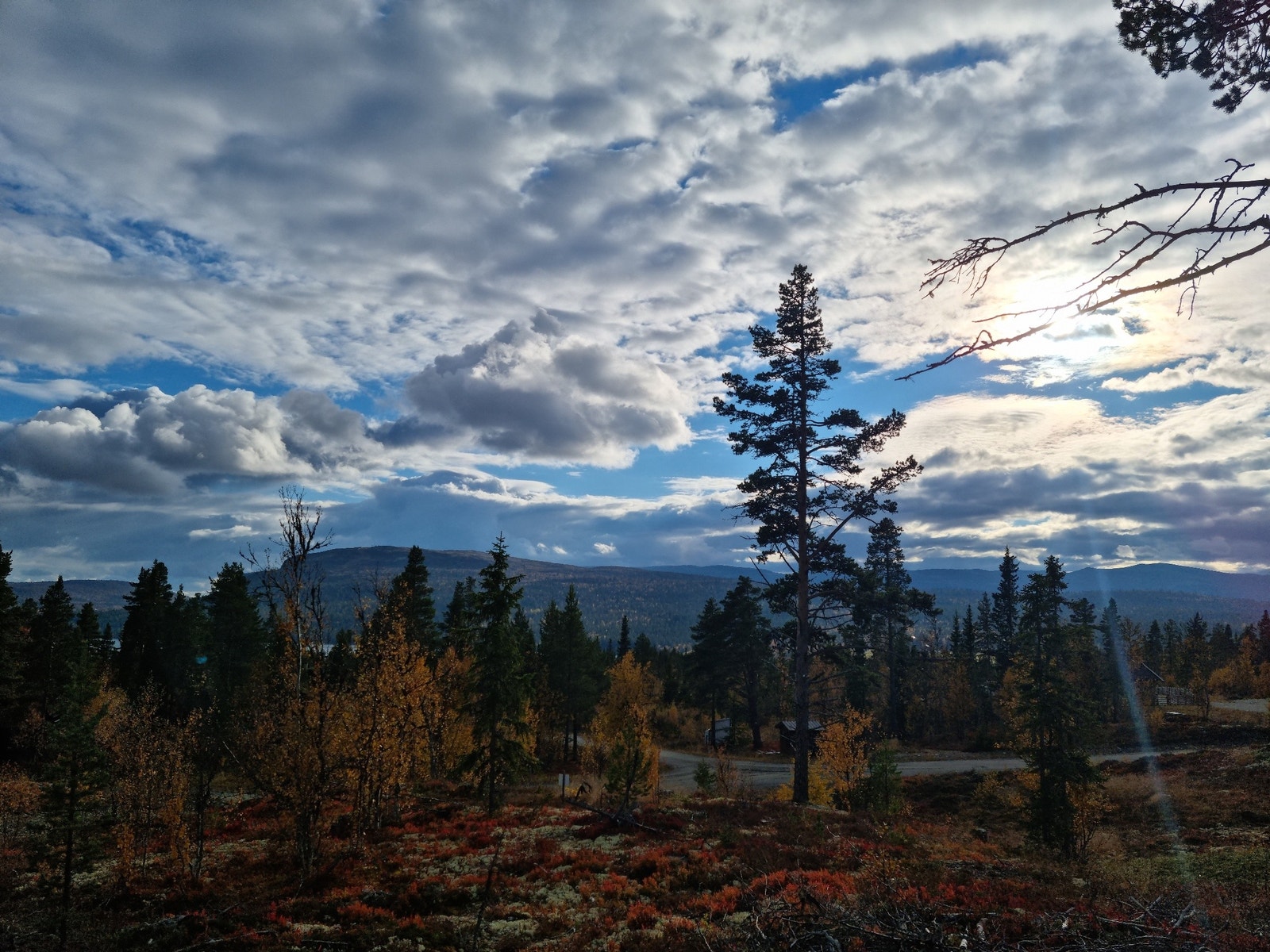Tomt 2 mot sørvest Galleribilde