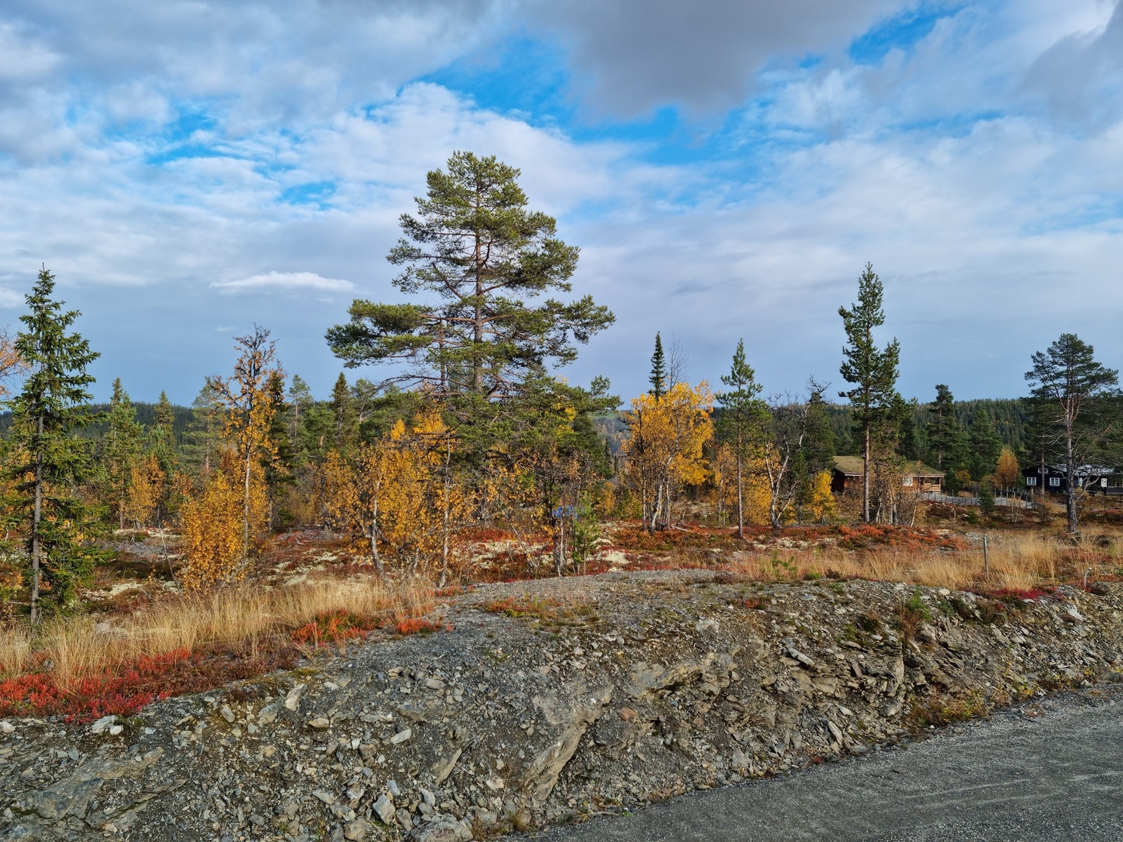 Tomt 29 Galleribilde