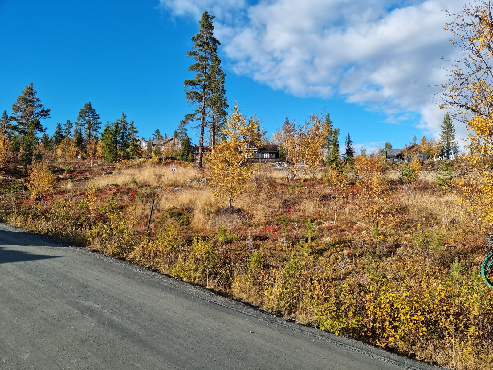 Tomt 53 Galleribilde