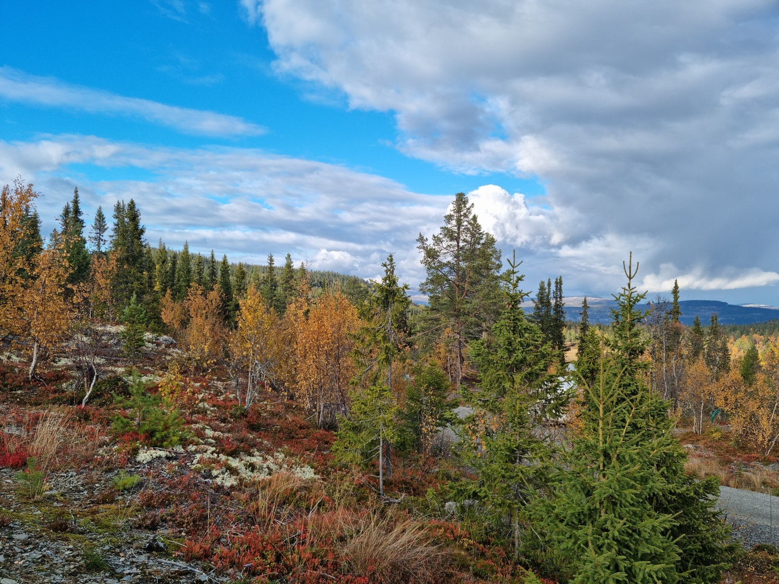 Tomt 35 Galleribilde