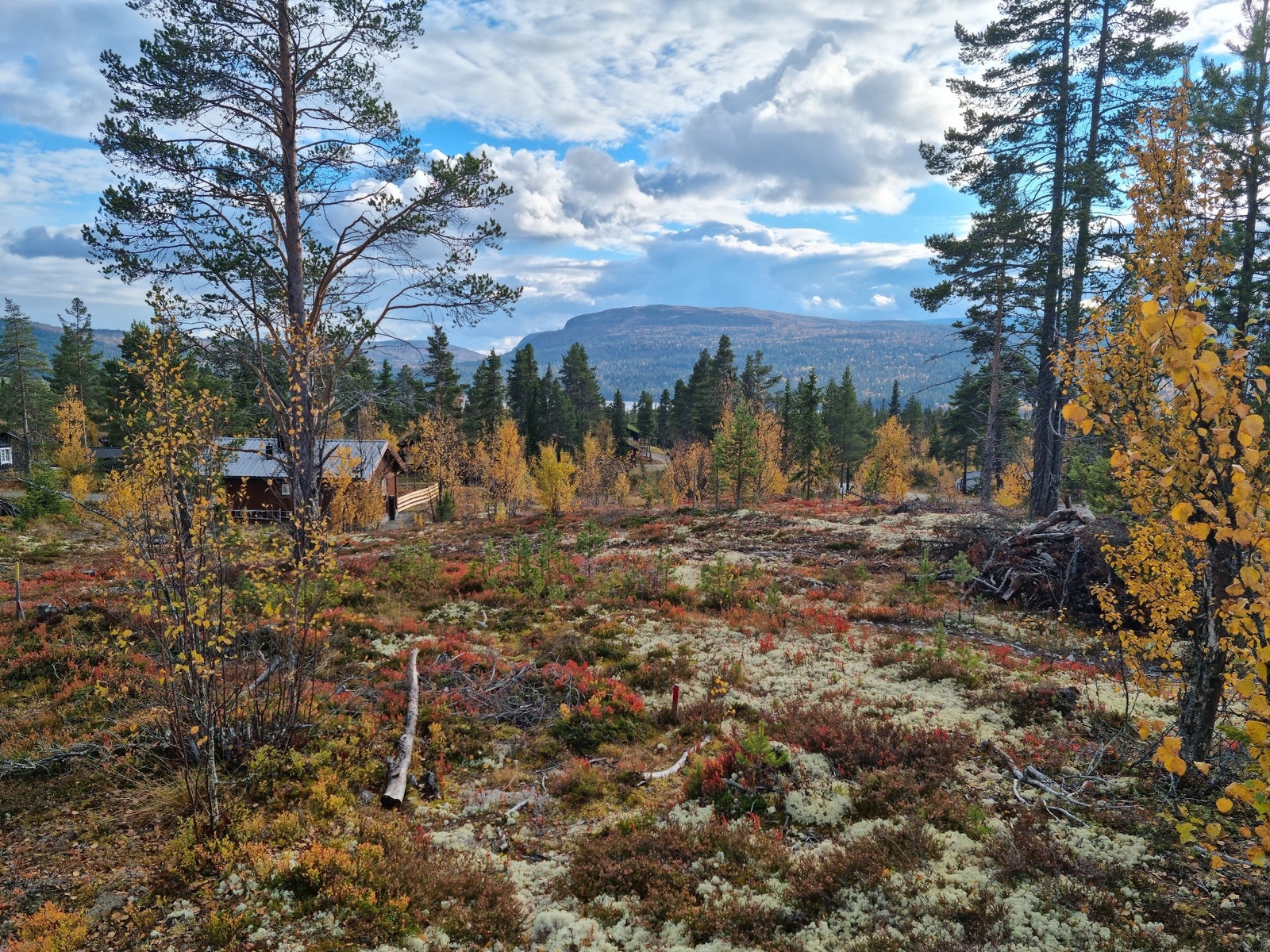 Tomt 24 mot sør Galleribilde