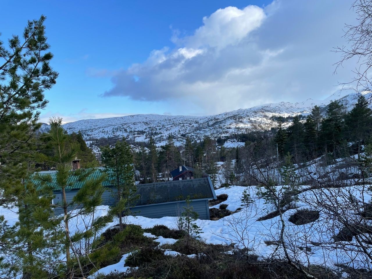 tomt Furedalen Galleribilde